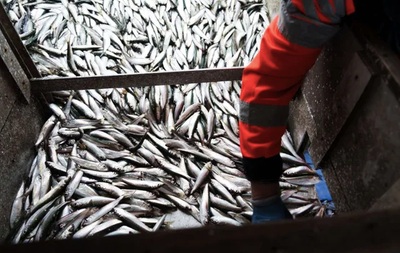 Réformer le capitalisme ou pas?