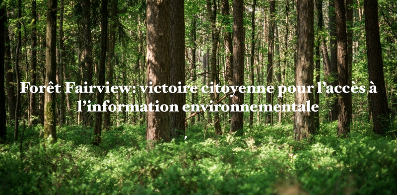 Le 15 août 2024 - Forêt Fairview: victoire citoyenne pour l’accès à l’information environnementale