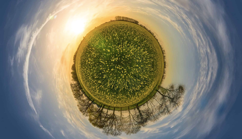 Un 55e Jour de la Terre sous le thème de la biodiversité le 16 avril 2025