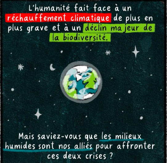 La protection des milieux humides en 12 cases illustrées - Le devoir le 23 avril 2025