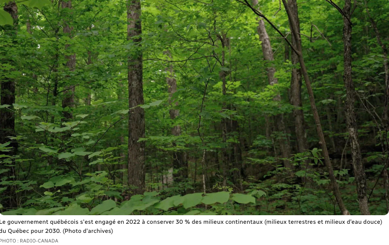 Biodiversité : Québec manque de clarté pour atteindre sa cible d’ici 2030 - Radio- Canada le 25 avril 2025