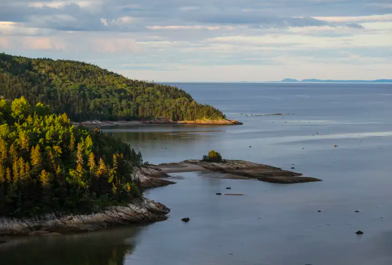 Estuaire et golfe du Saint-Laurent Un bilan de santé inquiétant - Lapresse le 23 mai 2025