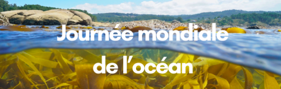 SNAP Québec  Le 8 juin 2025 -Le Saint-Laurent, un écosystème exceptionnel à préserver