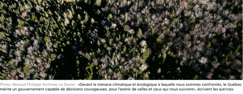 Il faut cesser de sacrifier la nature au profit de l’industrie -Le Devoir le 23 juin 2025