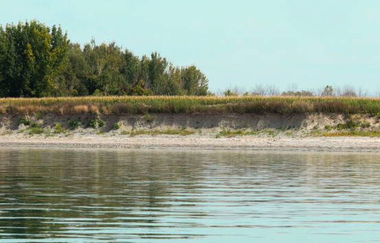 Sur le site du futur port de Contrecœur, «intérêt national» et santé du fleuve s’entrechoquent - Le Devoir le 26 septembre 2025