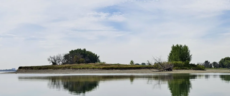 Le Devoir le 4 novembre 2025 - Ottawa confirme la destruction autorisée de 1900 m2 d’habitats protégés du chevalier cuivré.