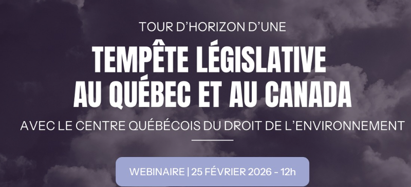 Tour d'horizon d'une tempête législative au Québec et au Canada qui reviendra sur l’avalanche des projets de loi à Québec et Ottawa, qui depuis 1 an, menacent la protection de l'environnement et la démocratie.