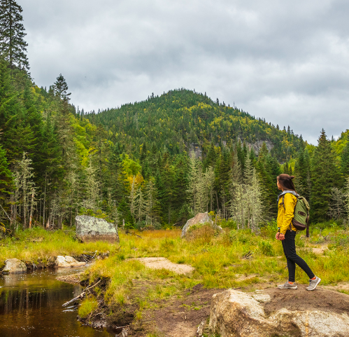 Pétition - La nature retient son souffle. Donnons-lui de l’air pour protéger ce qui compte.