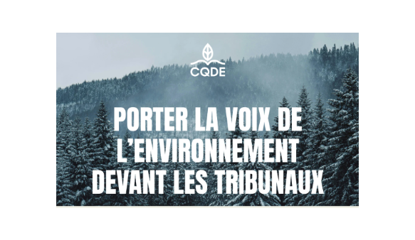 CQDE - Porter la voix de l’environnement devant les tribunaux - Ressources