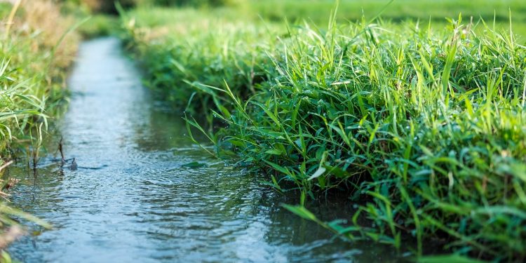 2025 - Empreitada de Remodelação do Canal de Rega do Aproveitamento Hidroagrícola do Lucefecit