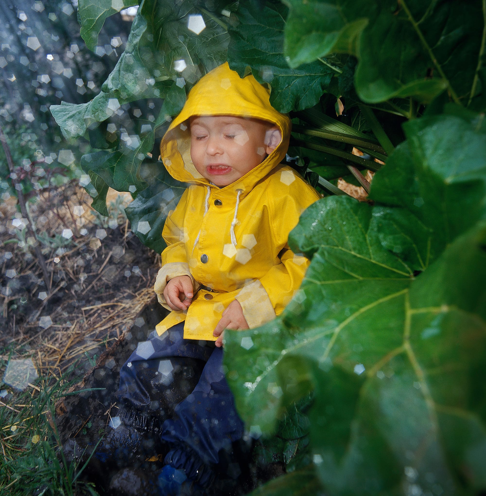 Pelastakaa lapset ry