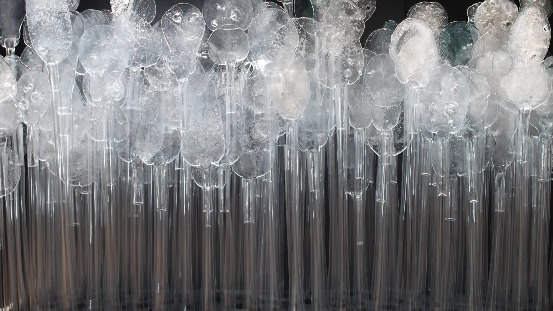 Installation of the Glass Forest work