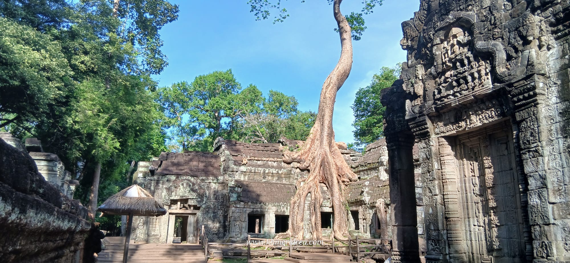 Ta Prohm Temple