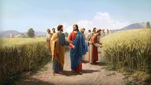 A Sabbath Day's Walk