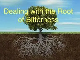 Root Of Bitterness