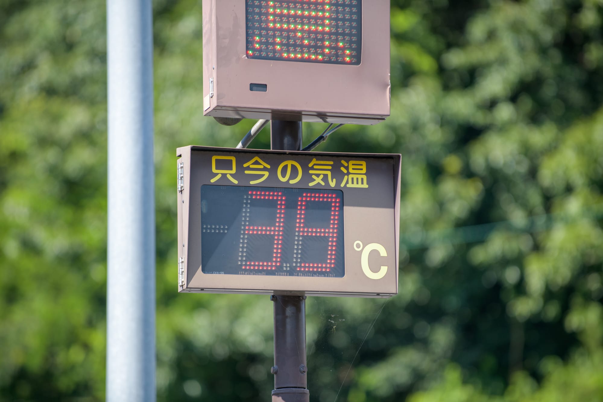 暑すぎる！