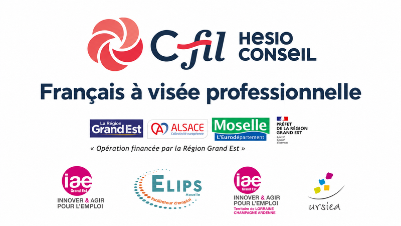 Francais à visée professionnel