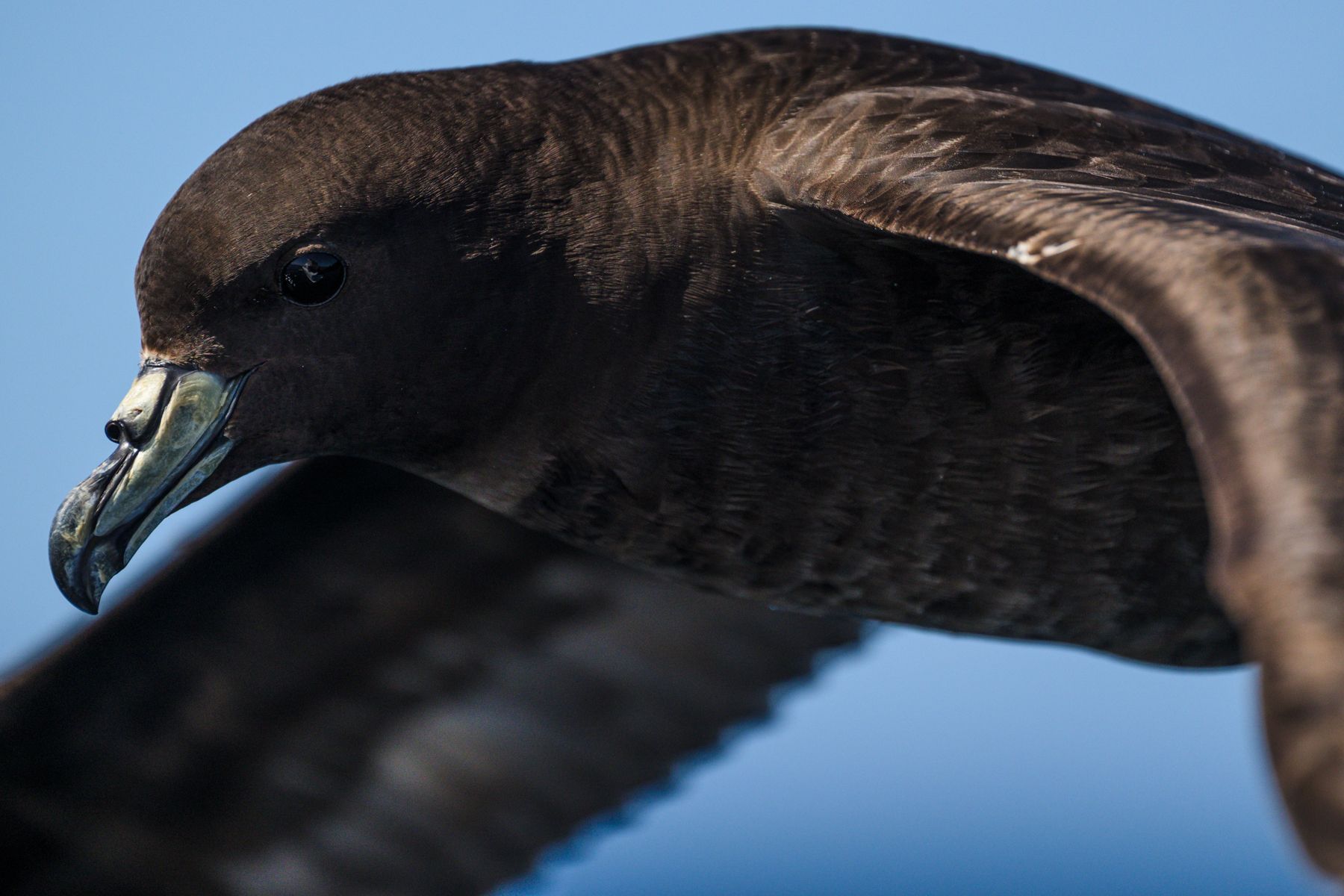 Environmental News Issue 54 - Editorial: Taking it for granted