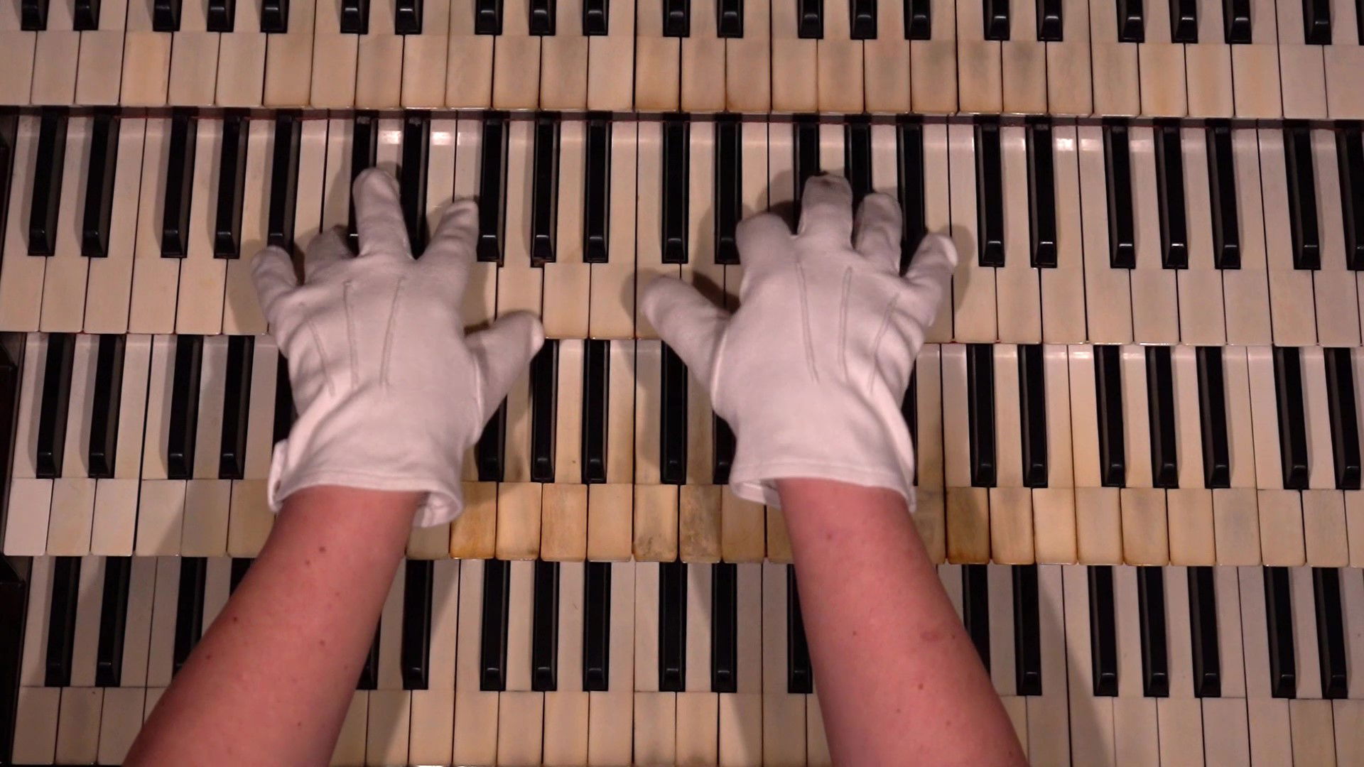 Concert du Marché Juillet 2024 / 2