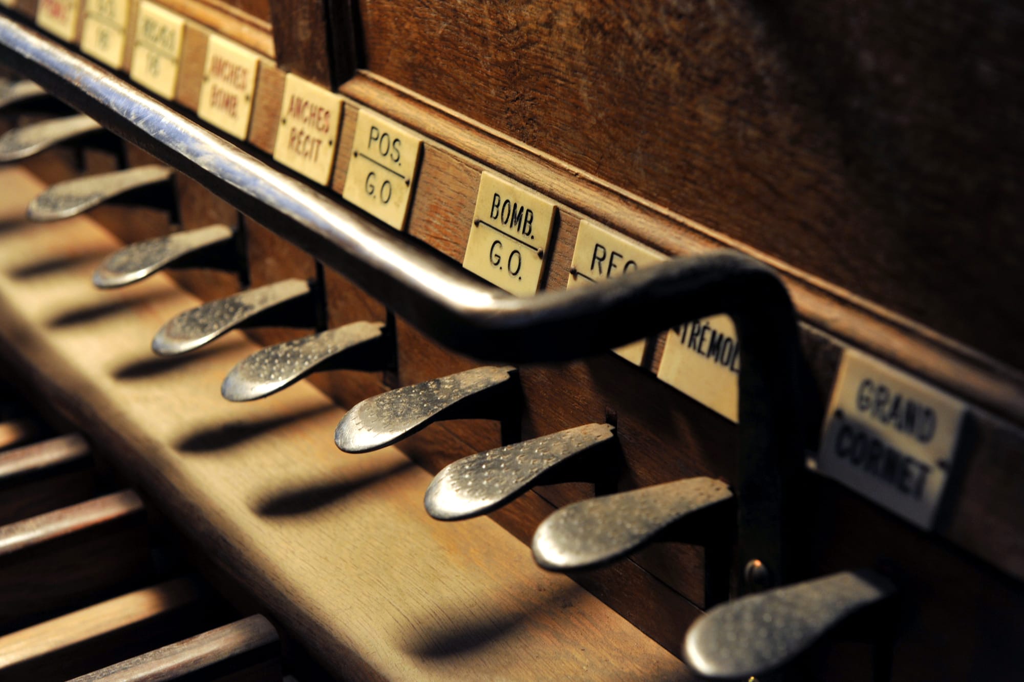 Dans les coulisses de l'orgue et Workshop