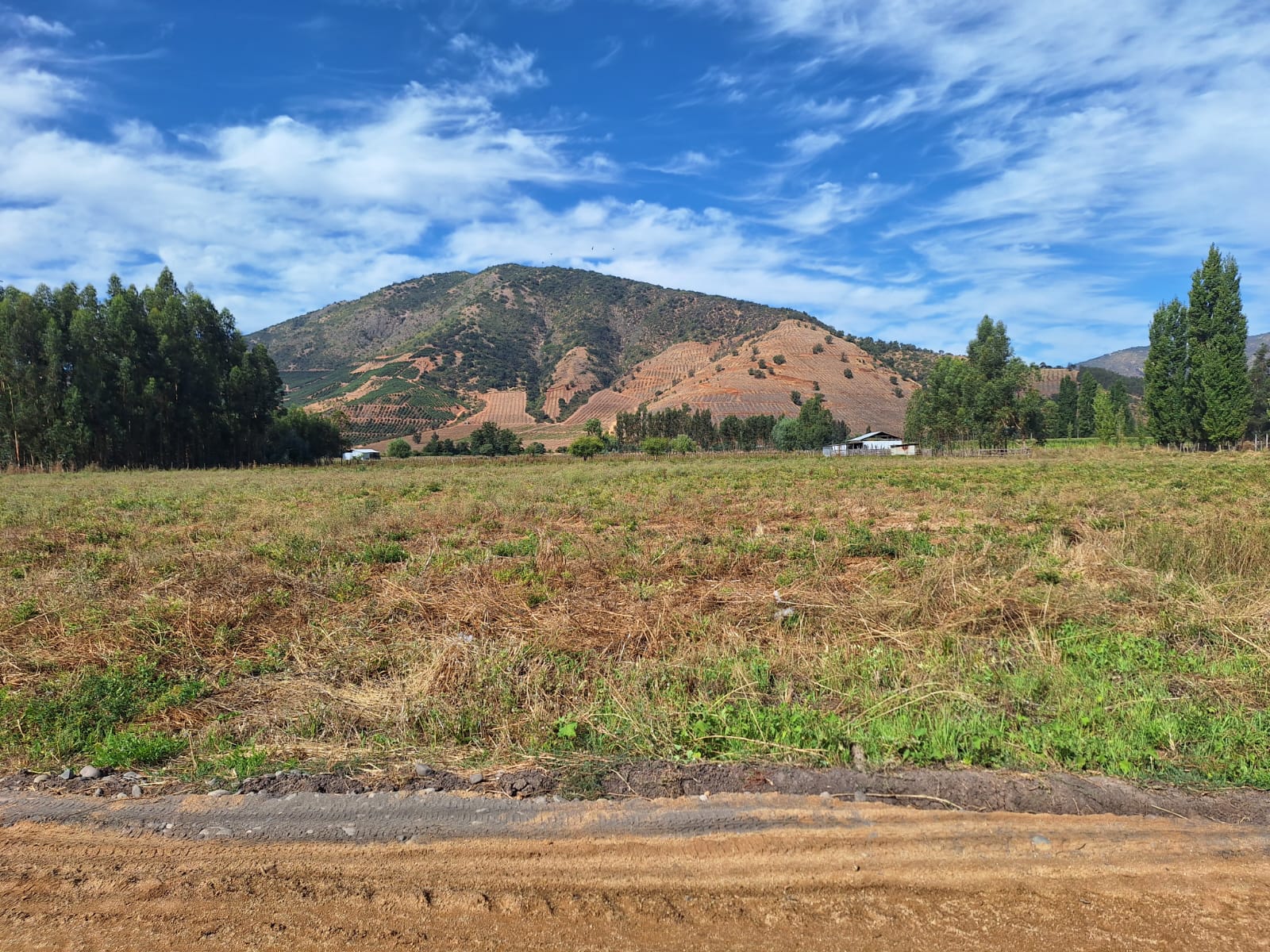 Vende parcela 5120 m2, La Palmilla, Región de Ohiggins - $55.000.000