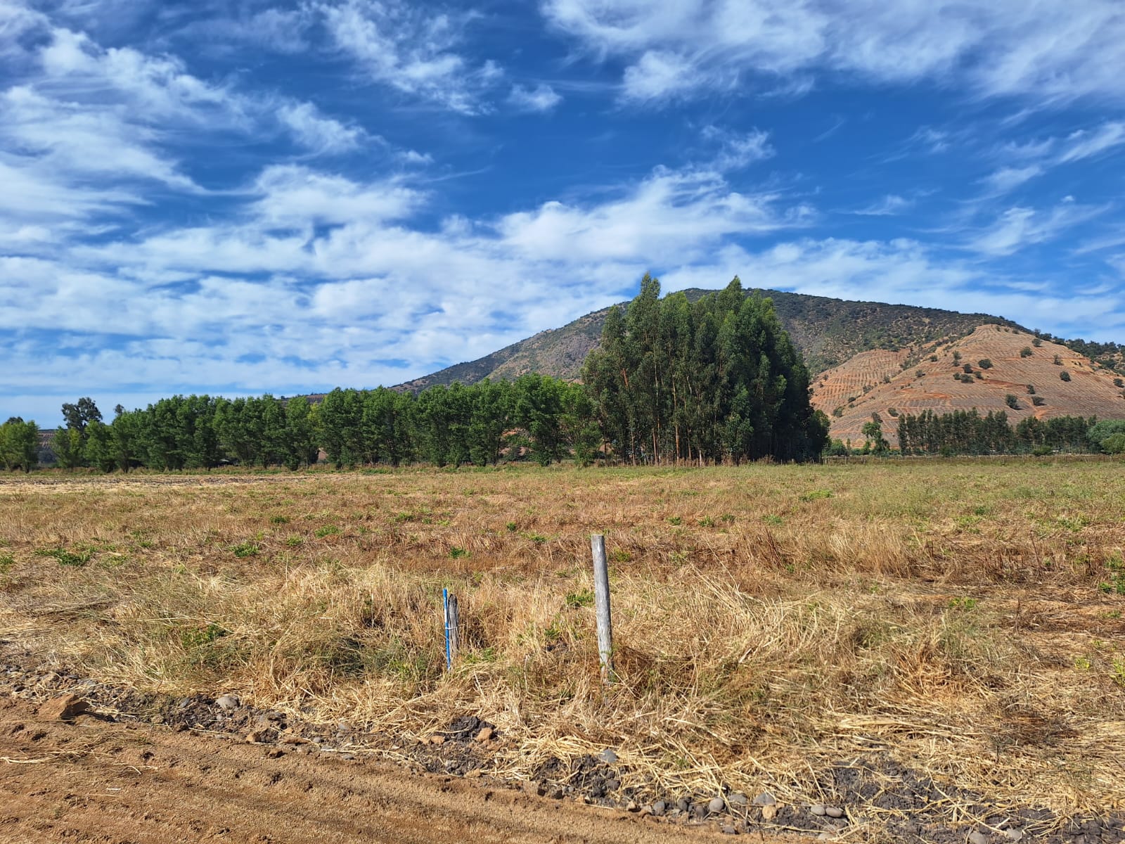 Vende parcela 5120 m2, La Palmilla, Región de Ohiggins - $55.000.000