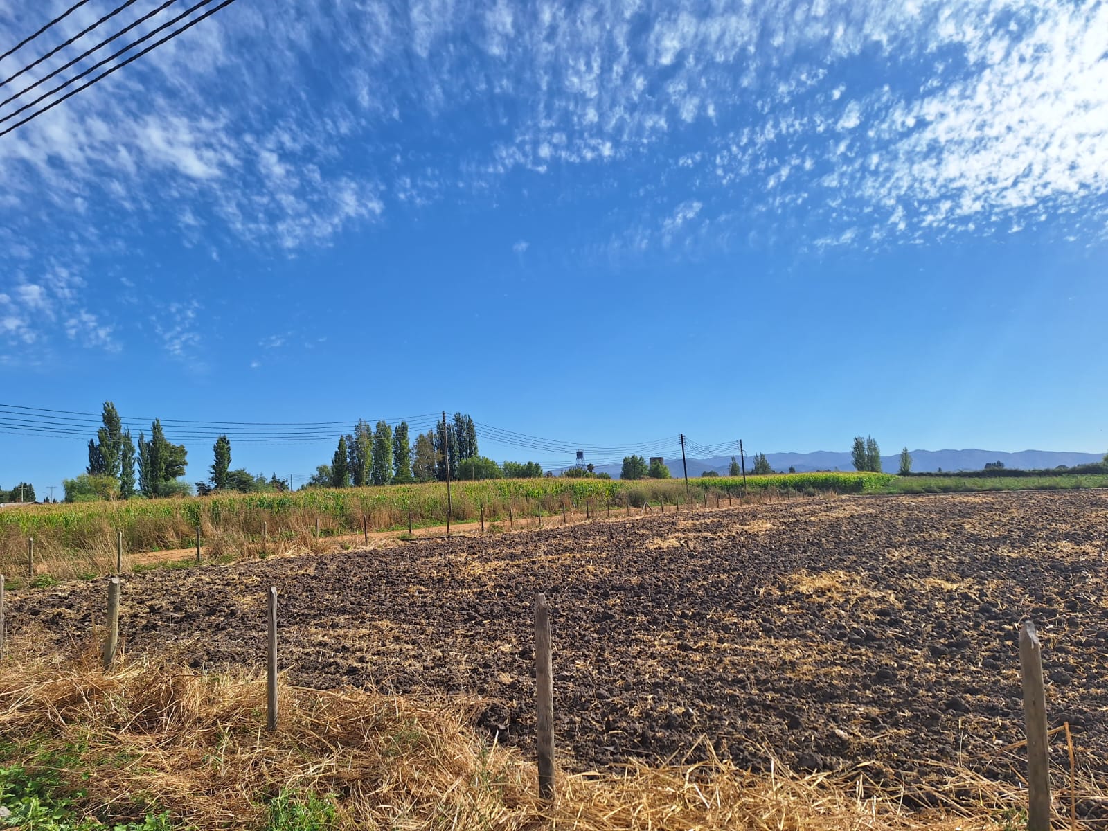 Vende parcela 5120 m2, La Palmilla, Región de Ohiggins - $55.000.000