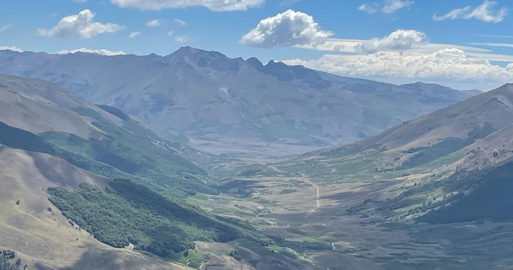 Vende sector PICHICOYAHUE, Antuco, Región del Biobío