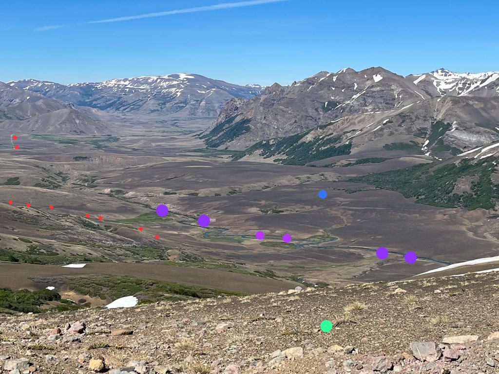 Vende sector PICHICOYAHUE, Antuco, Región del Biobío