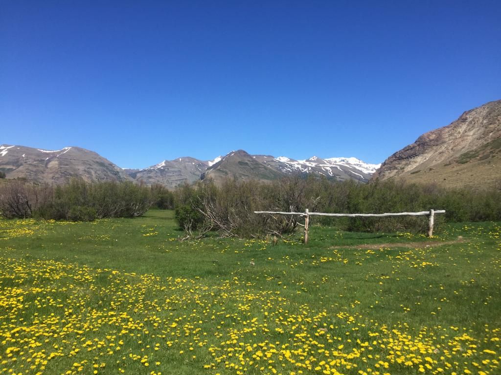 Vende sector PICHICOYAHUE, Antuco, Región del Biobío