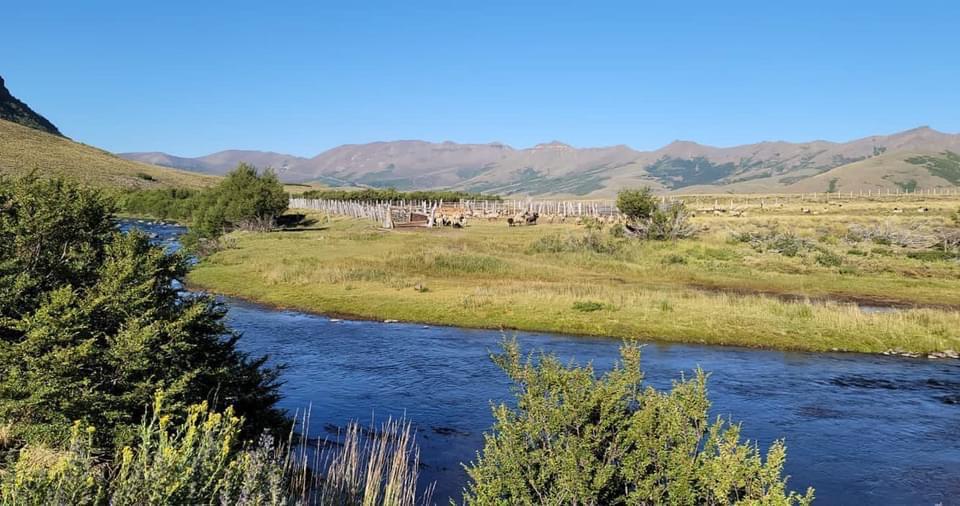 Vende sector PICHICOYAHUE, Antuco, Región del Biobío