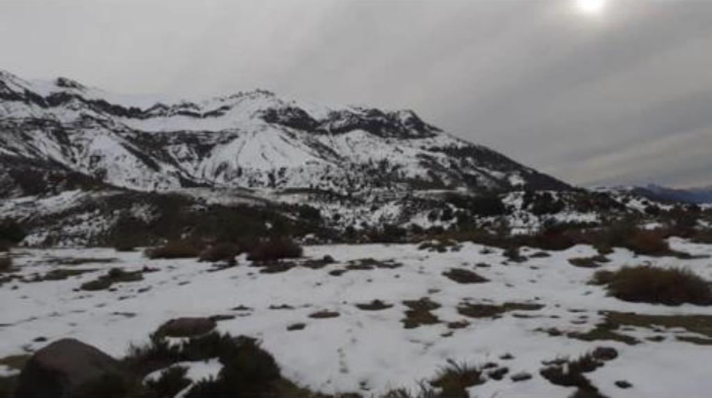 Vende 7860 Hás, Colbún, Región del Maule