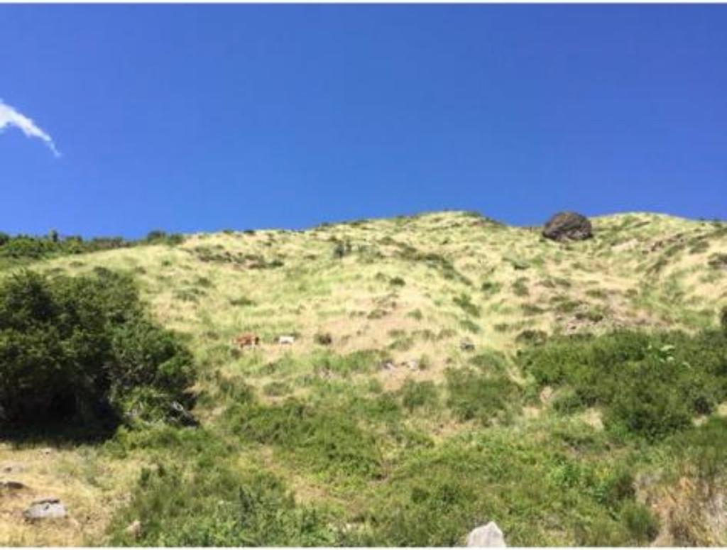 Vende 7860 Hás, Colbún, Región del Maule