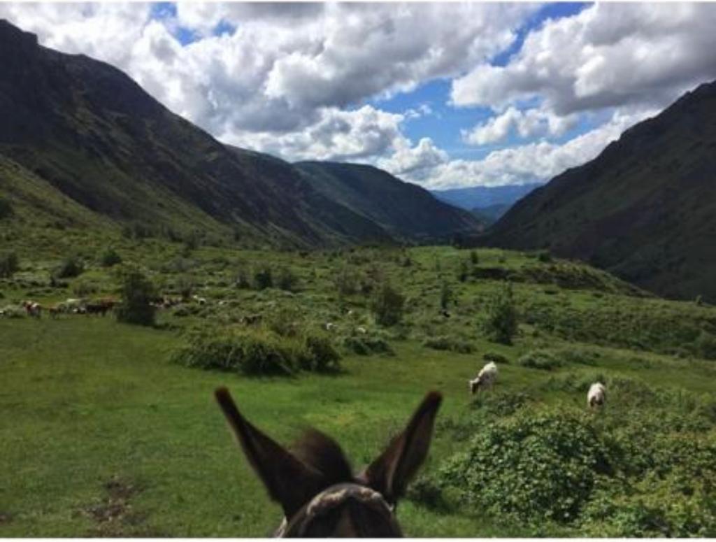 Vende 7860 Hás, Colbún, Región del Maule