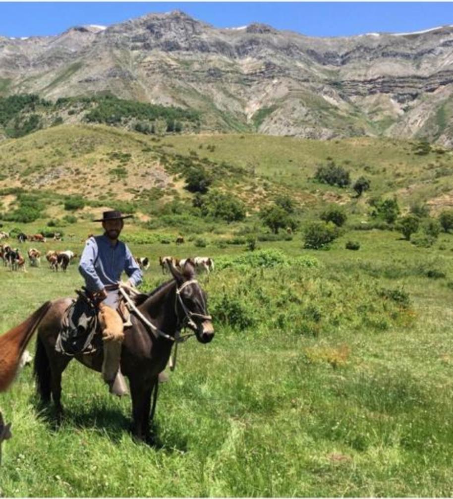 Vende 7860 Hás, Colbún, Región del Maule