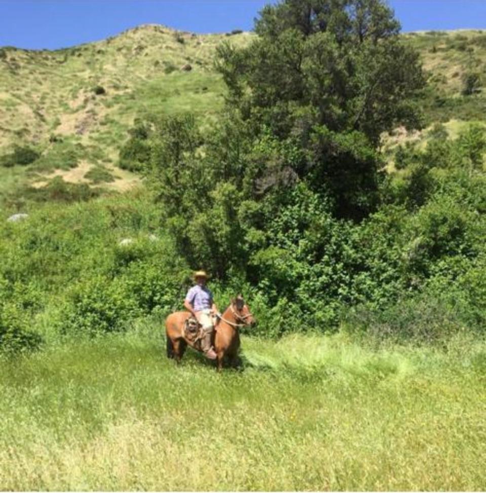 Vende 7860 Hás, Colbún, Región del Maule