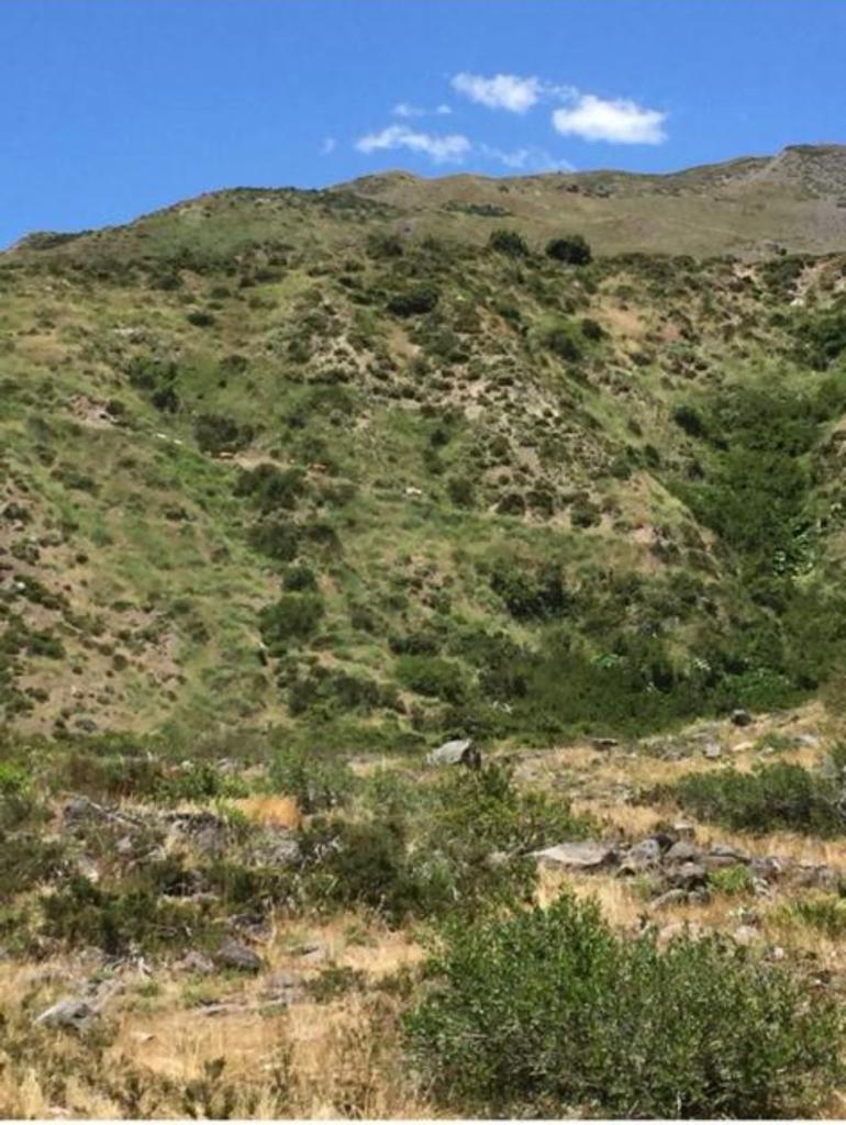 Vende 7860 Hás, Colbún, Región del Maule