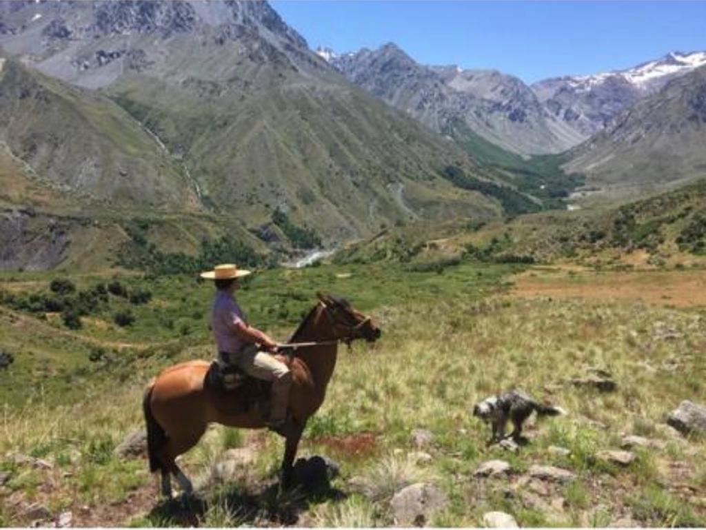 Vende 7860 Hás, Colbún, Región del Maule