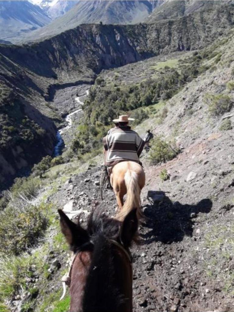 Vende 7860 Hás, Colbún, Región del Maule