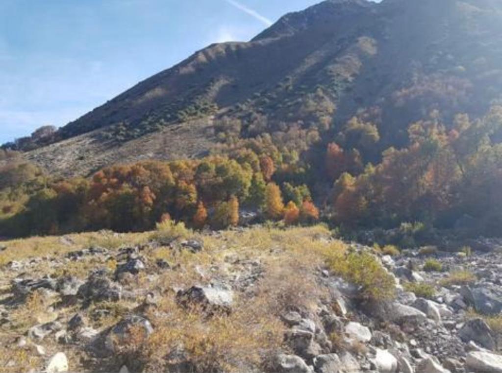 Vende 7860 Hás, Colbún, Región del Maule