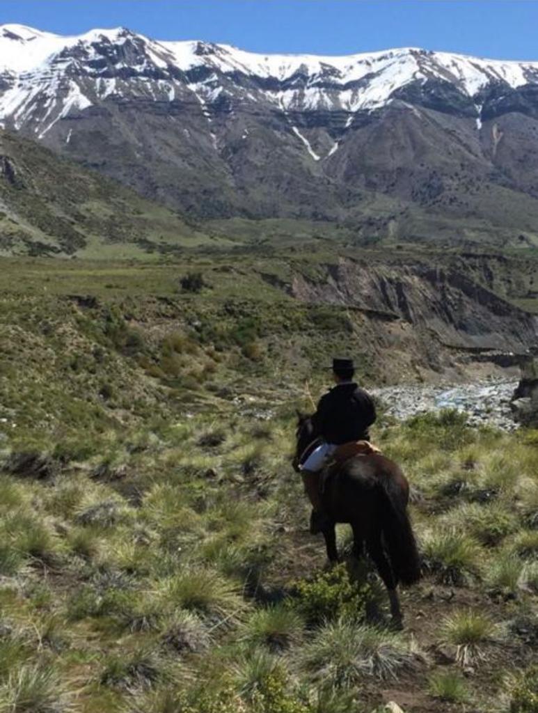 Vende 7860 Hás, Colbún, Región del Maule