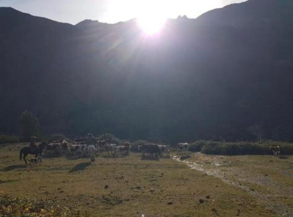 Vende 7860 Hás, Colbún, Región del Maule