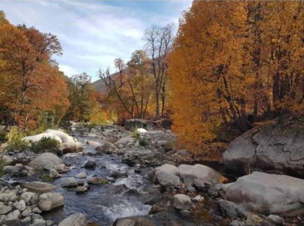 Vende 7860 Hás, Colbún, Región del Maule