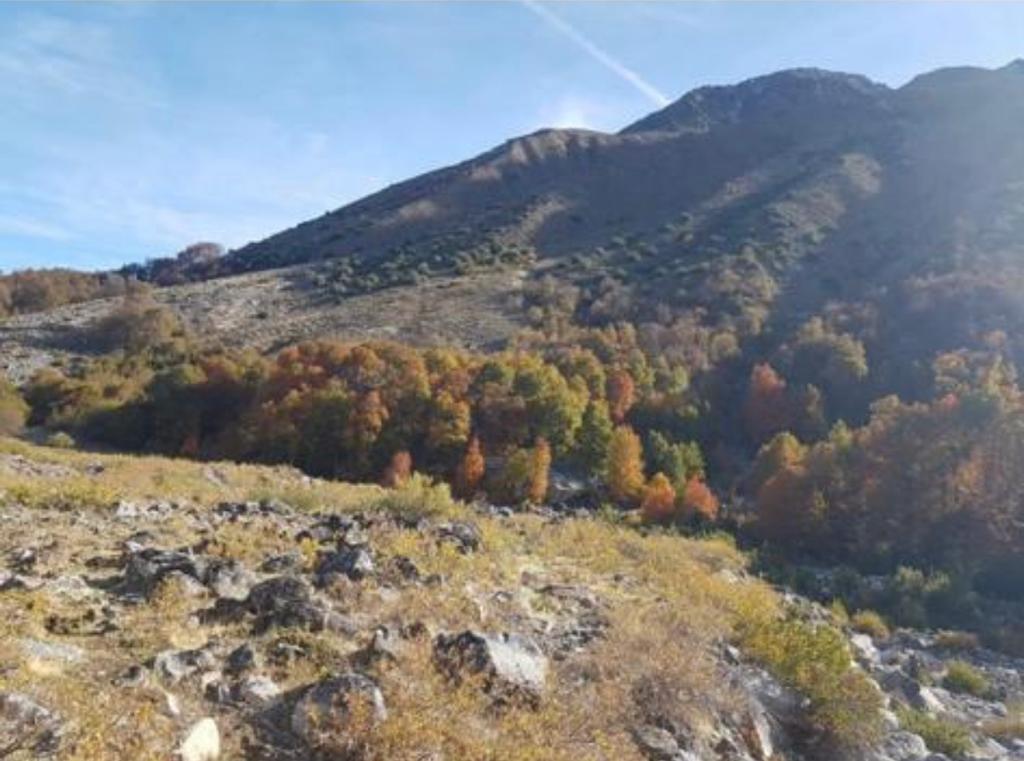 Vende 7860 Hás, Colbún, Región del Maule