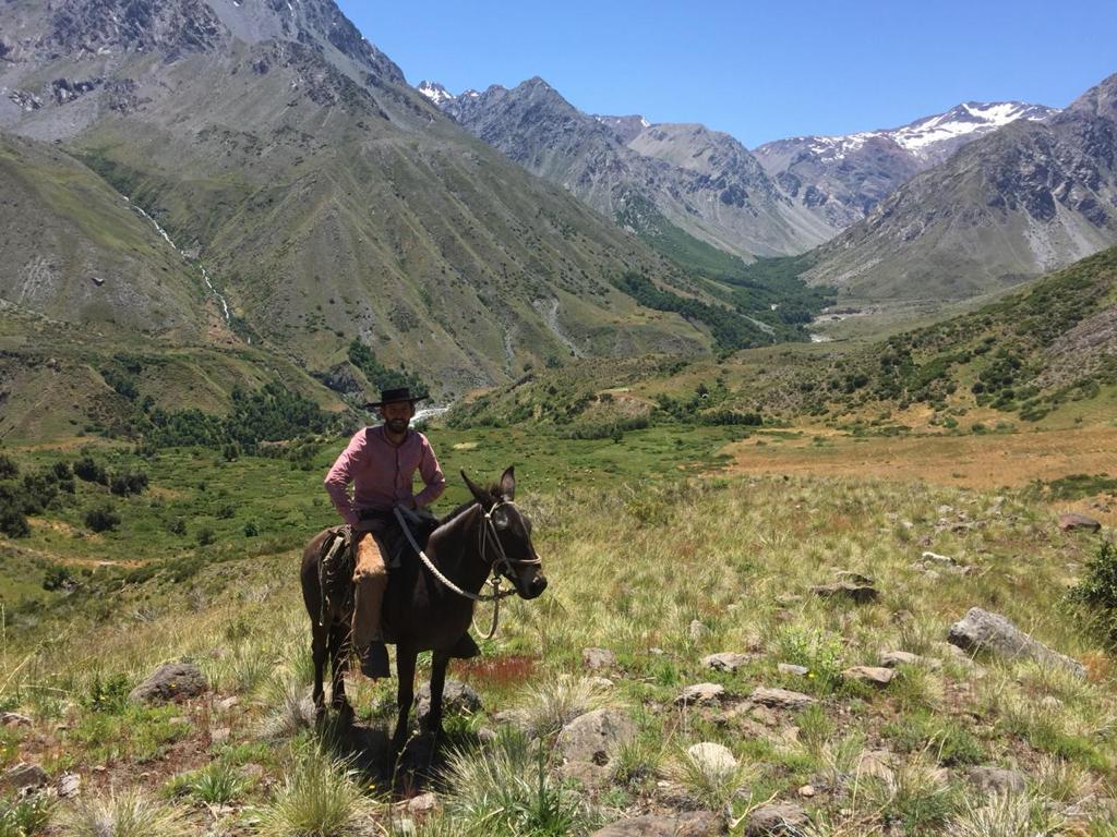 Vende 7860 Hás, Colbún, Región del Maule