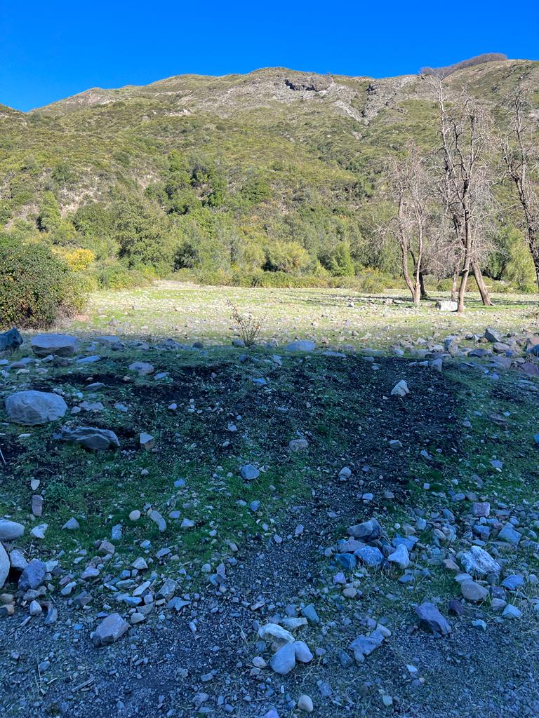 Vende 7860 Hás, Colbún, Región del Maule