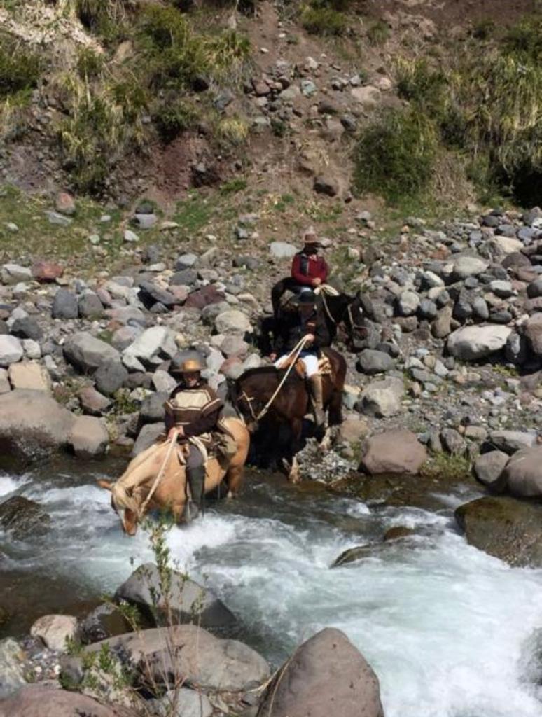 Vende 7860 Hás, Colbún, Región del Maule