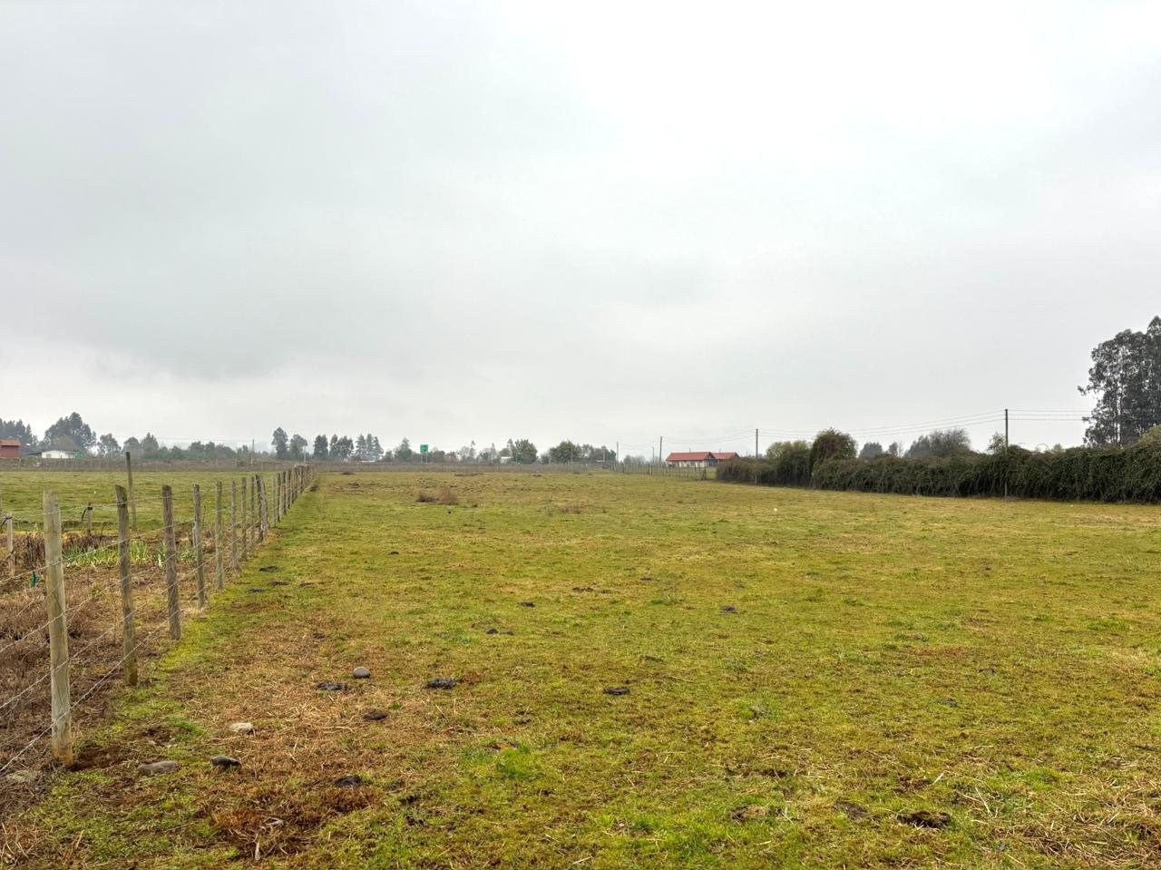 ¡Gran Oportunidad! Agroparcela de 8.300 m² en San Clemente, sector Maitenes, Región del Maule – Ideal para tu proyecto agrícola o segunda vivienda