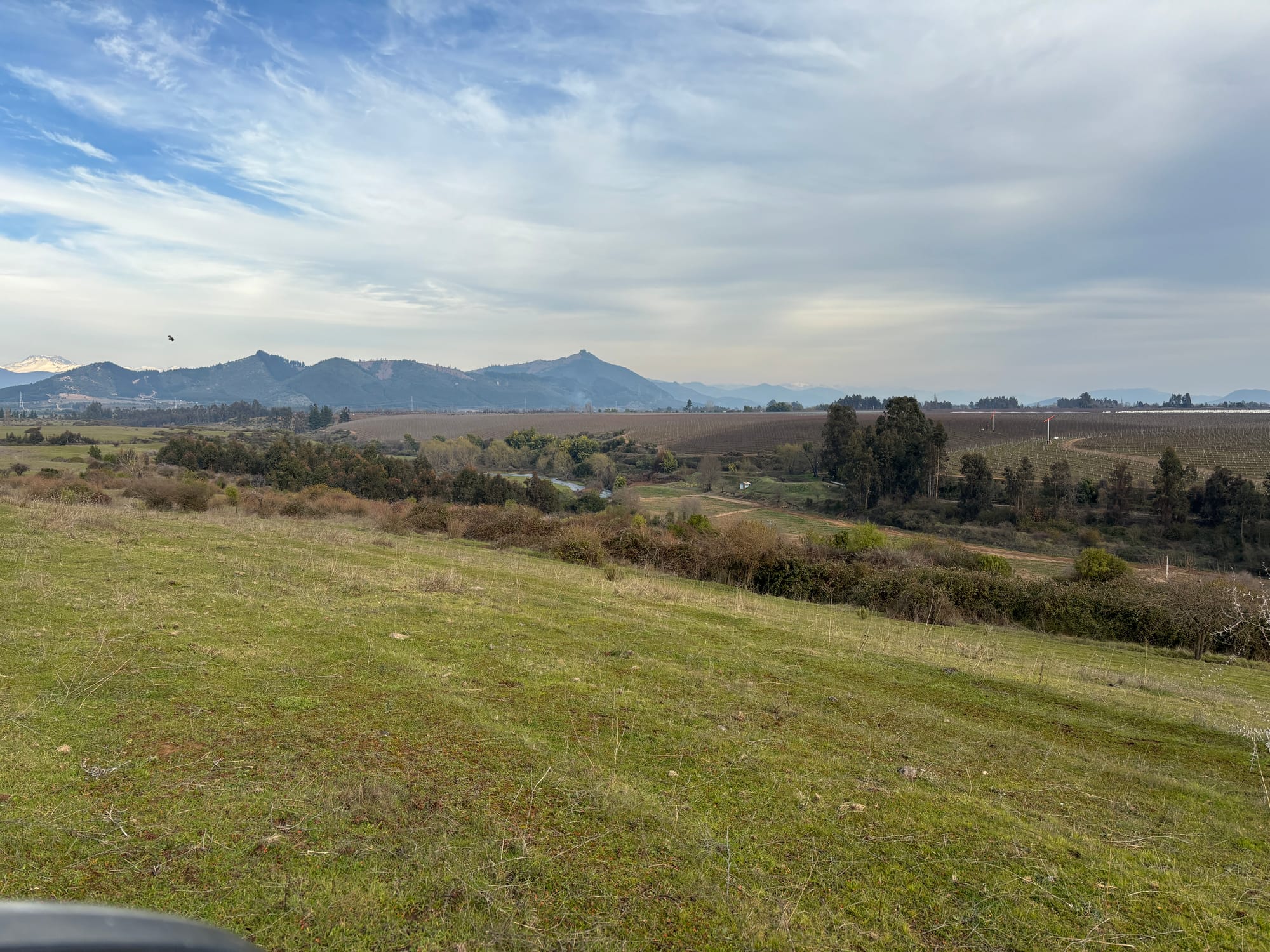 ¡Oportunidad única para productores de frutales! vende campo agrícola en Río Claro, Región del Maule