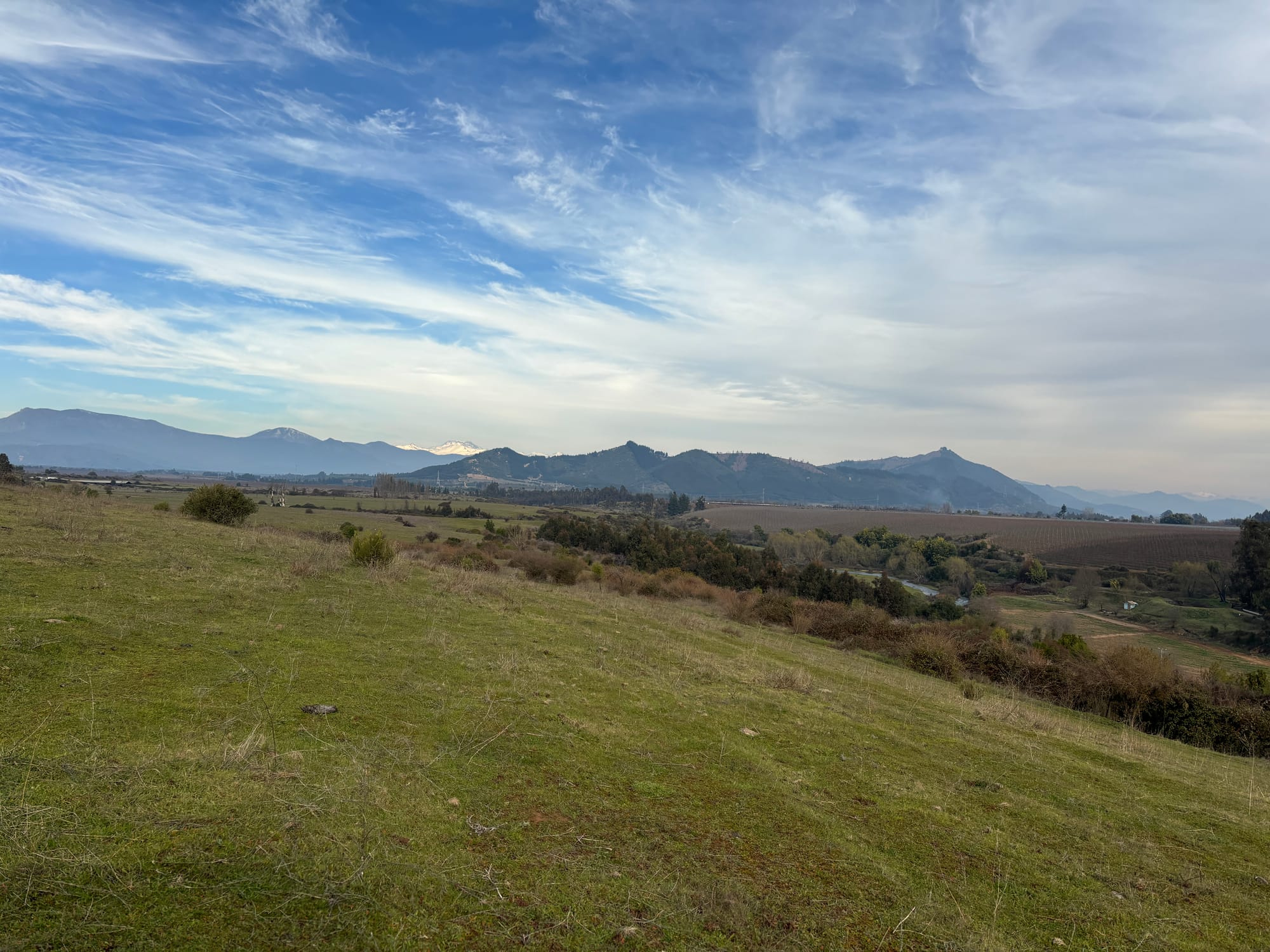¡Oportunidad única para productores de frutales! vende campo agrícola en Río Claro, Región del Maule